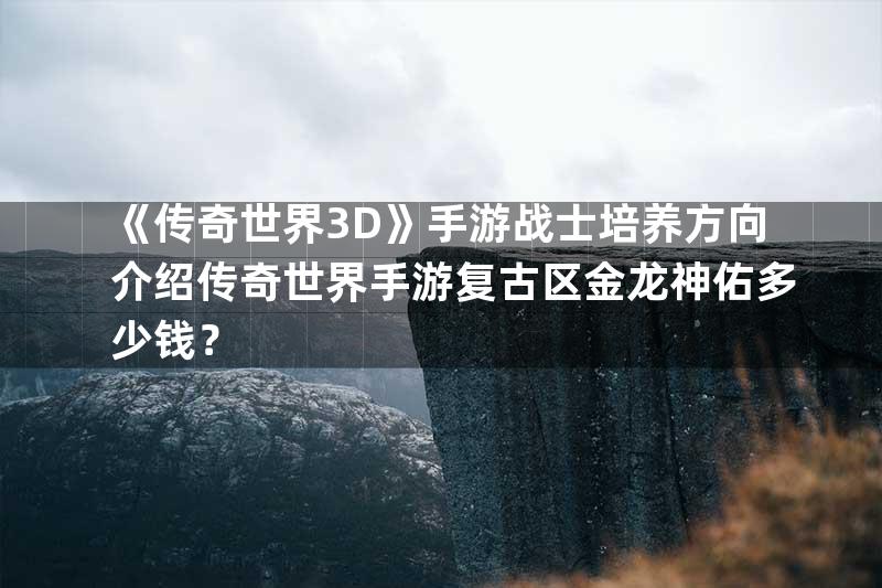 《传奇世界3D》手游战士培养方向介绍传奇世界手游复古区金龙神佑多少钱？