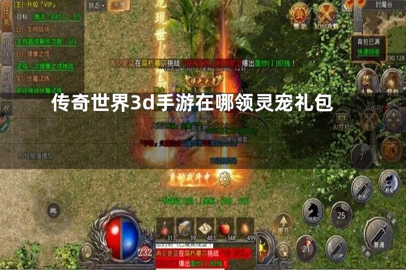 传奇世界3d手游在哪领灵宠礼包