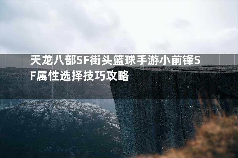 天龙八部SF街头篮球手游小前锋SF属性选择技巧攻略