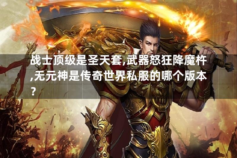 战士顶级是圣天套,武器怒狂降魔杵,无元神是传奇世界私服的哪个版本？