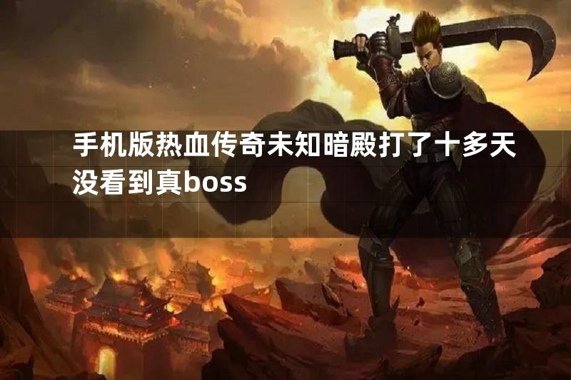 手机版热血传奇未知暗殿打了十多天没看到真boss