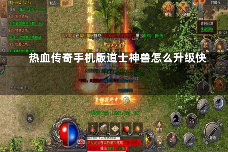 热血传奇手机版道士神兽怎么升级快