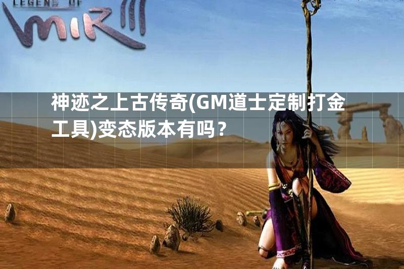 神迹之上古传奇(GM道士定制打金工具)变态版本有吗？