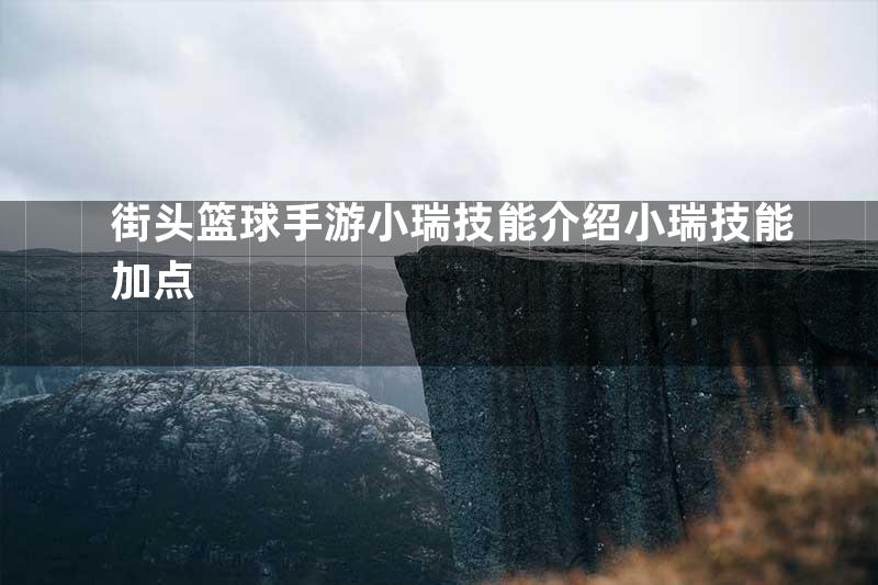 街头篮球手游小瑞技能介绍小瑞技能加点