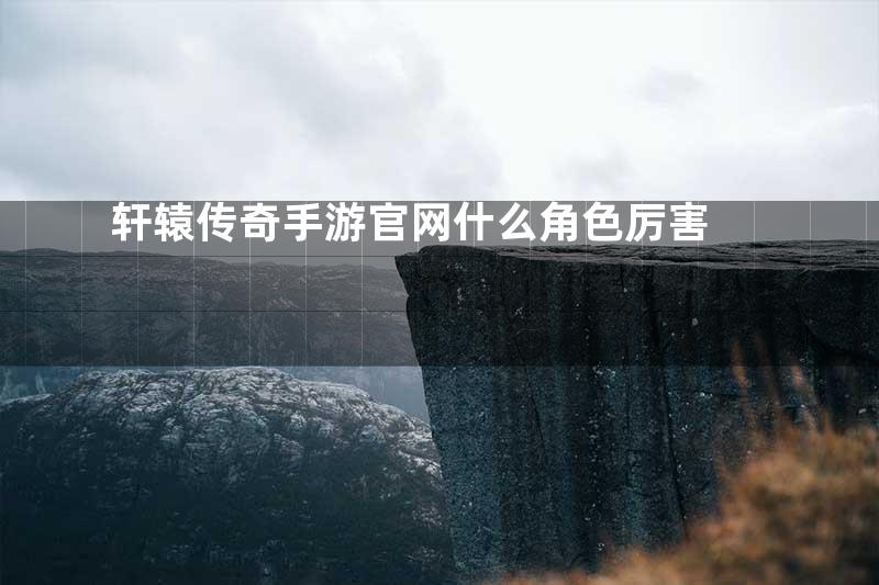 轩辕传奇手游官网什么角色厉害